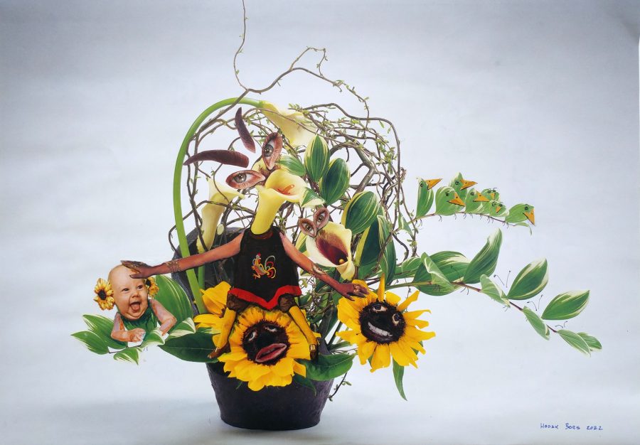 Don’t Touch My Sunflowers
